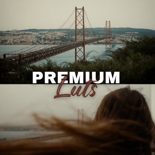 2000+ LUTS Bundle