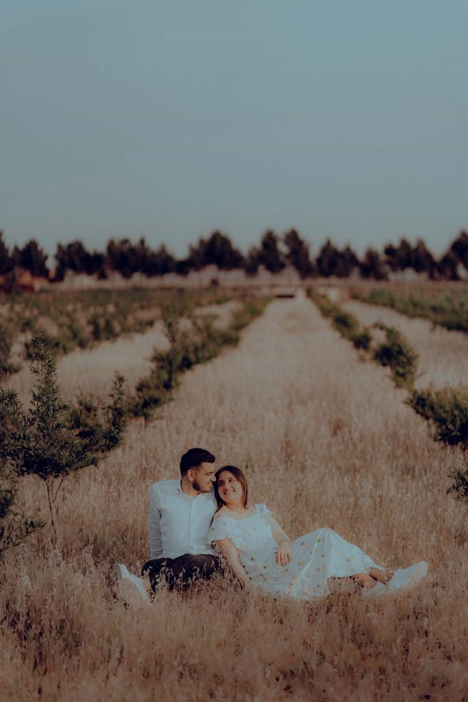 Presets Color Grading 2025