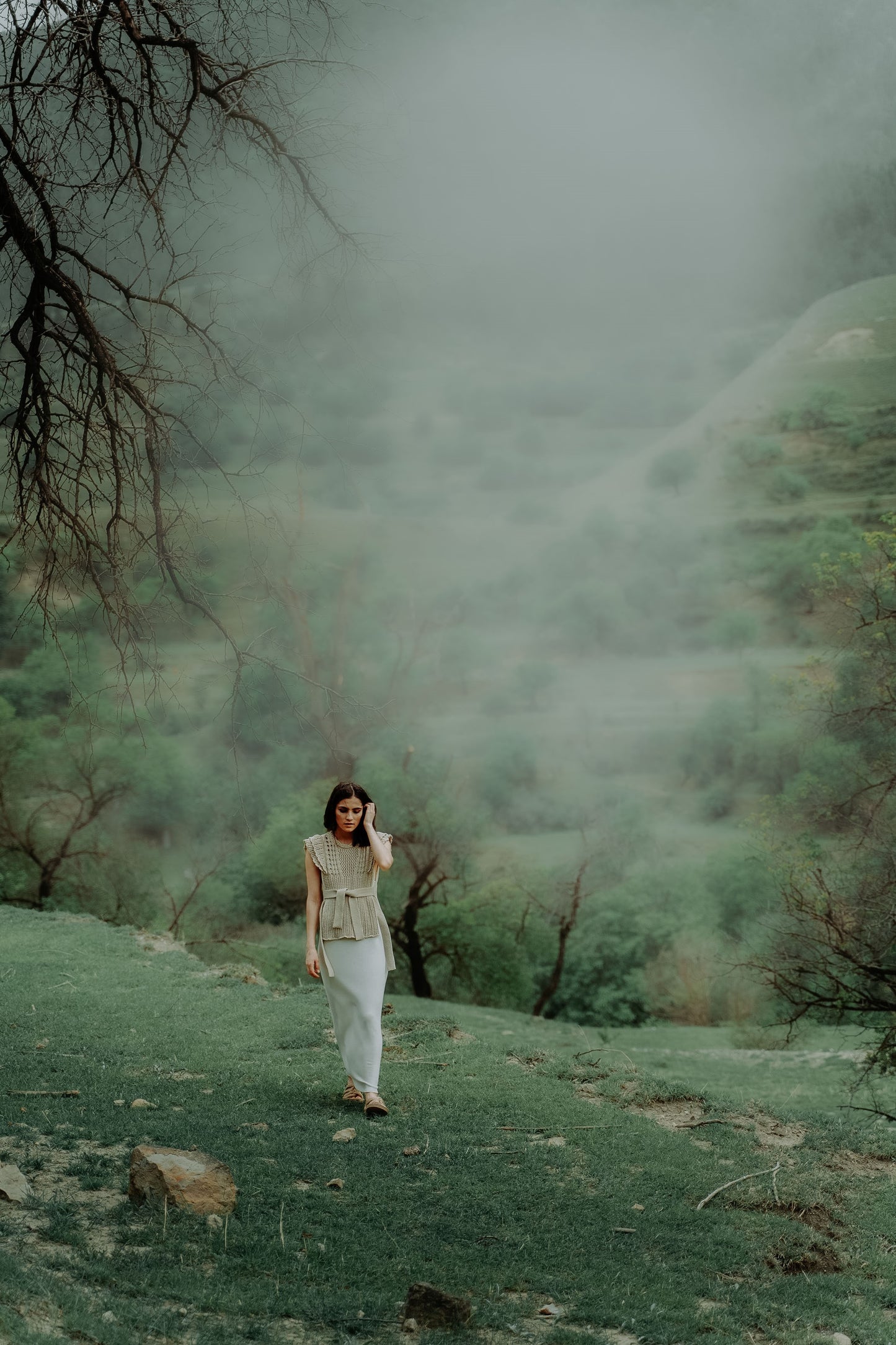 Presets Color Grading 2025